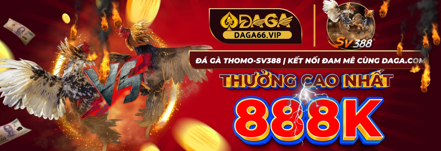 daga-daga-thomo1